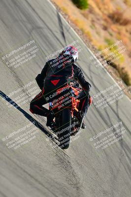 media/Oct-24-2025-2WTD (Fri) [[491f36c2bf]]/C Group/Session 3 (Turn 5)/